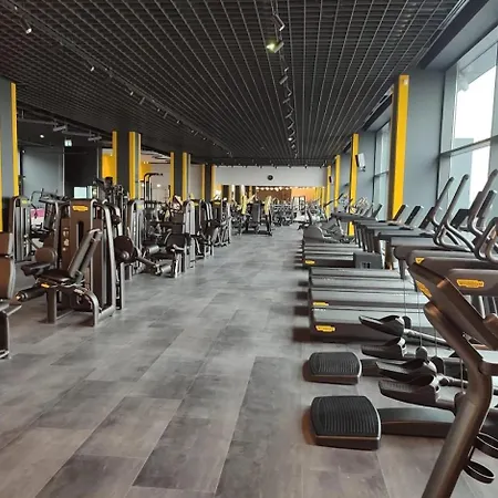 Aze - Forest Whisper * Bucharest