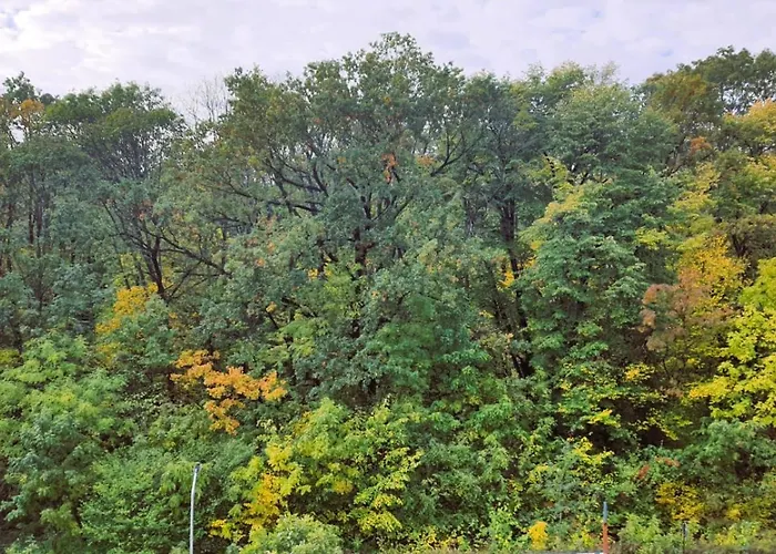 Appartement Aze - Forest Whisper